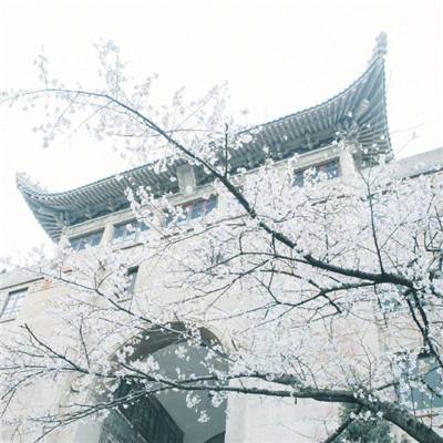 悍将三国gm版下载