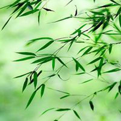 怪兽纪元游戏下载